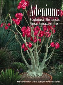 Adenium - Sculptural Elegance, Floral Extravagance 